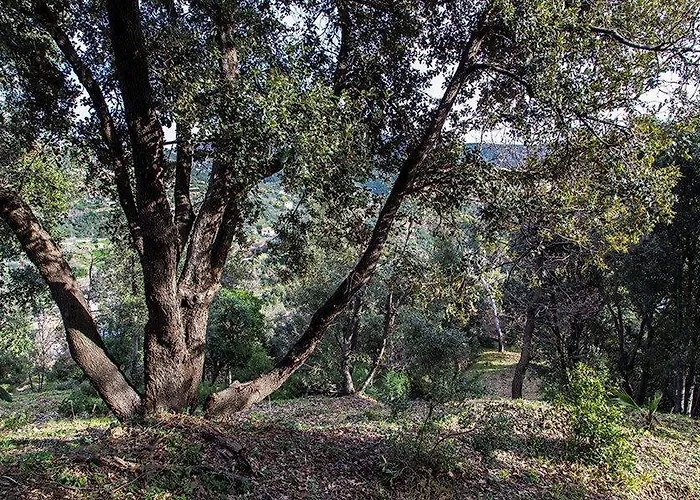Agroturismo Bardi Con Vista Mare