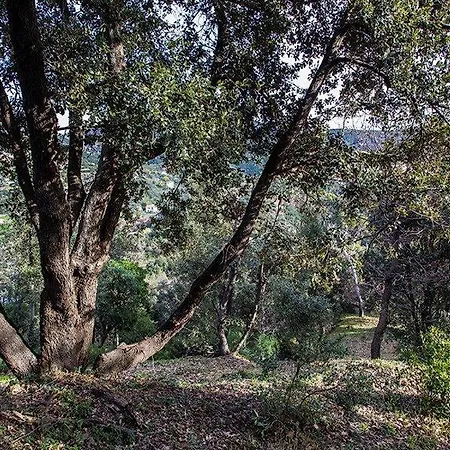Çiftlik konaklama Bardi Con Vista Mare
